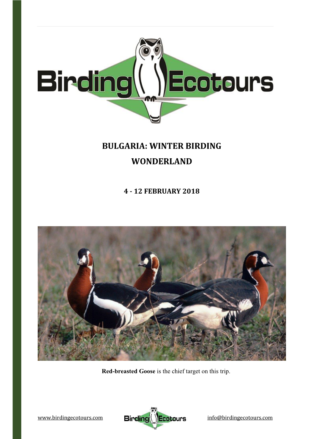 Bulgaria: Winter Birding Wonderland