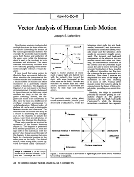 Vector Analysis of Human Limb Motion