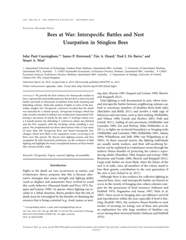 Bees at War: Interspeciﬁc Battles and Nest Usurpation in Stingless Bees