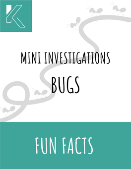 Mini-Investigations-Bugs.Pdf