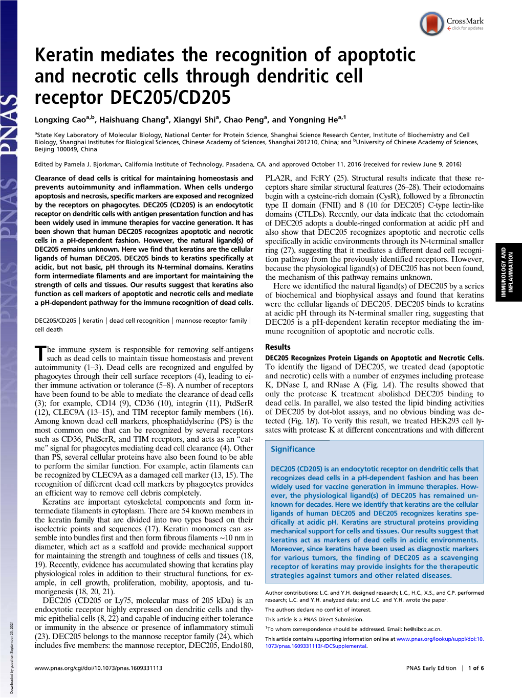 Keratin Mediates the Recognition of Apoptotic and Necrotic Cells Through Dendritic Cell Receptor DEC205/CD205