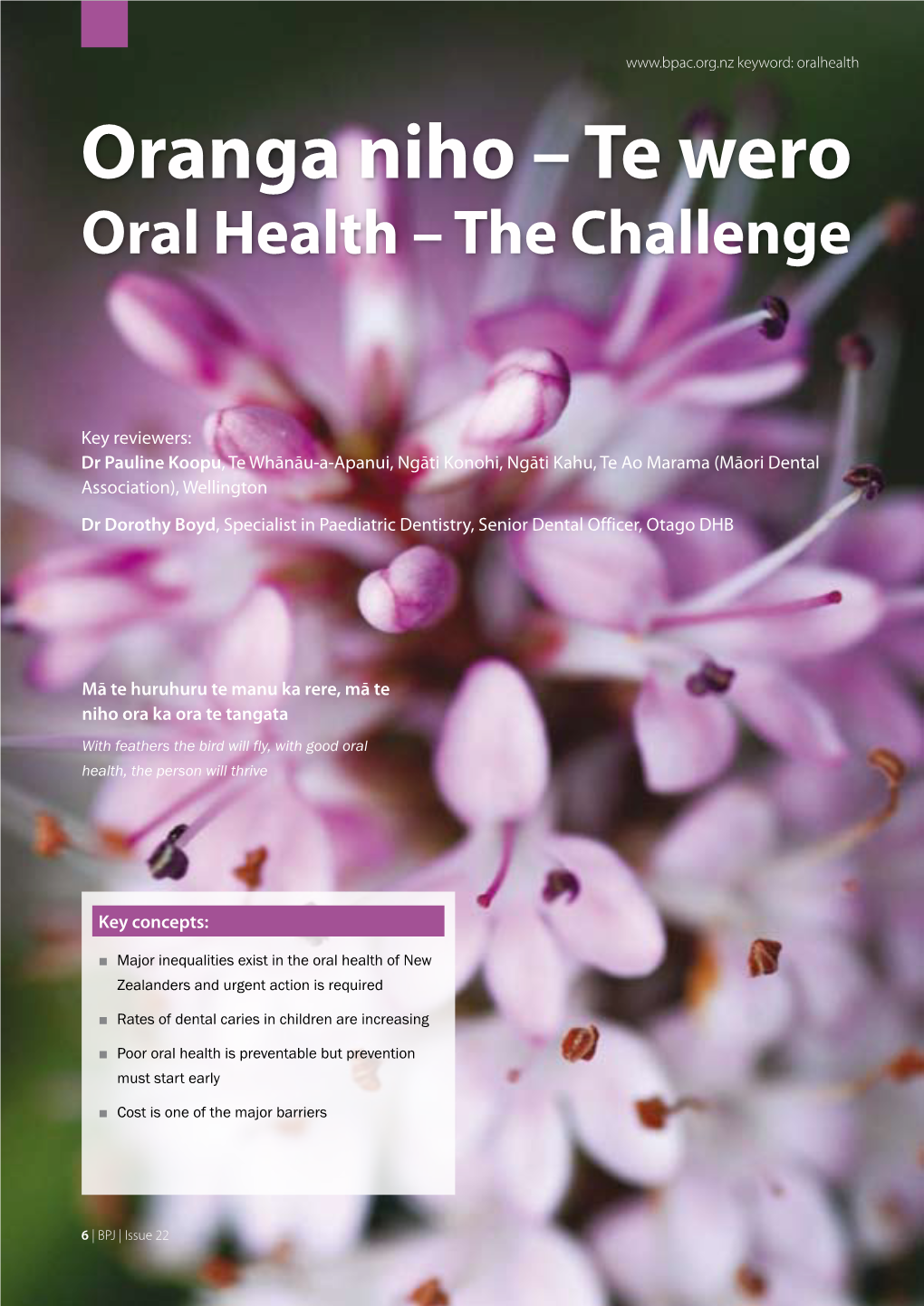 Oranga Niho – Te Wero Oral Health – the Challenge