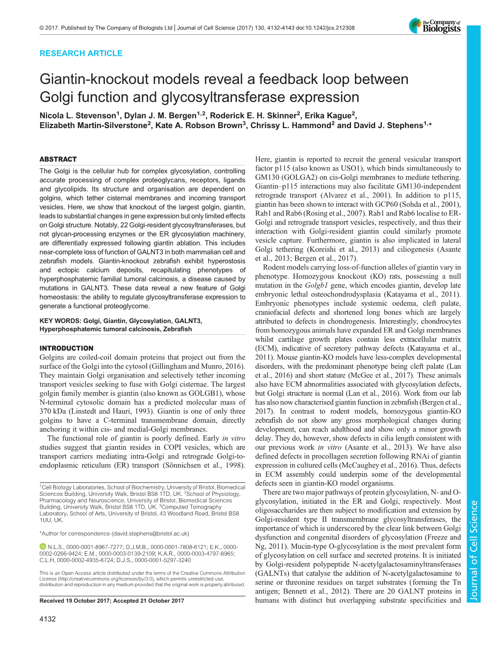 Giantin-Knockout Models Reveal a Feedback Loop Between Golgi Function and Glycosyltransferase Expression Nicola L