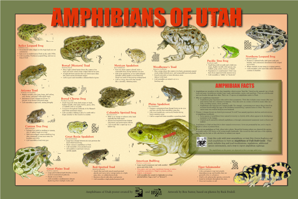 Amphibian Facts