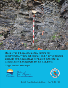 Rock-Eval, Lithogeochemistry, Gamma Ray Spectrometry, Vitrine Reflectance, and X-Ray Diffraction Analysis of the Besa River Form