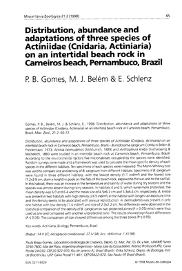 Distribution, Abundance and Adaptations of Three Species of Actiniidae (Cnidaria, Actiniaria) on an Intertidal Beach Rock in Carneiros Beach, Pernambuco, Brazil