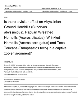 Detail on Species. Abyssinian Ground Hornbill (Bucorvus Abyssinicus)