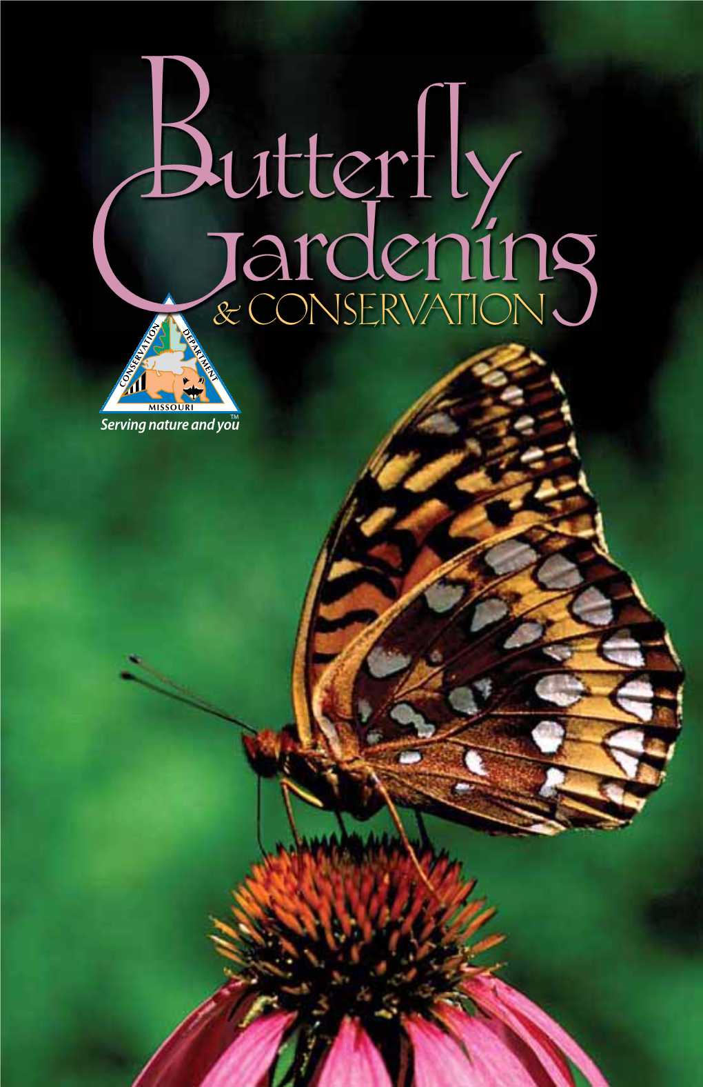 Butterfly Gardening & Conservation