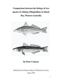 Comparisons Between the Biology of Two Species of Whiting (Sillaginidiae) in Shark Bay, Western Australia