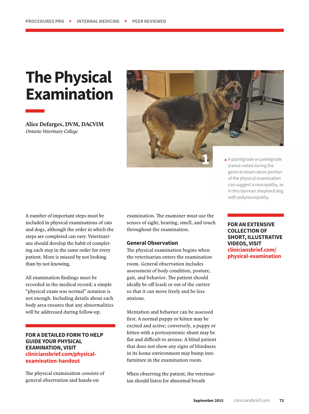 The Physical Examination