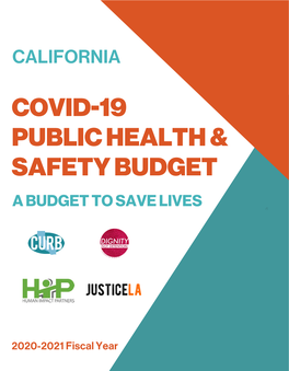 Covid Public Health & Safety Budget