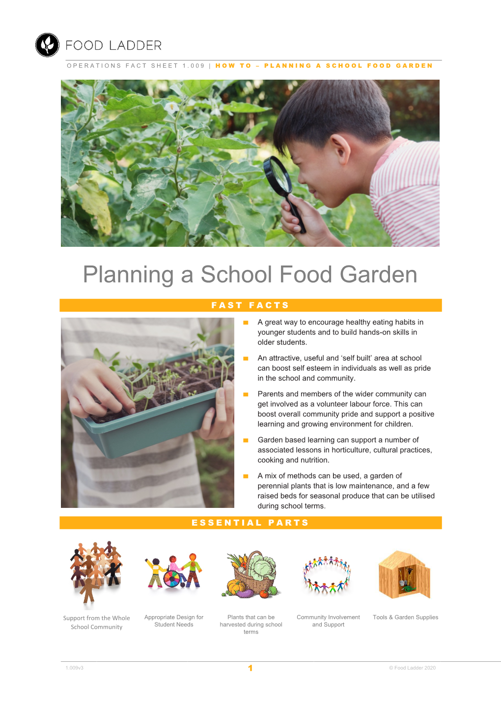 Planning a School Food Garden