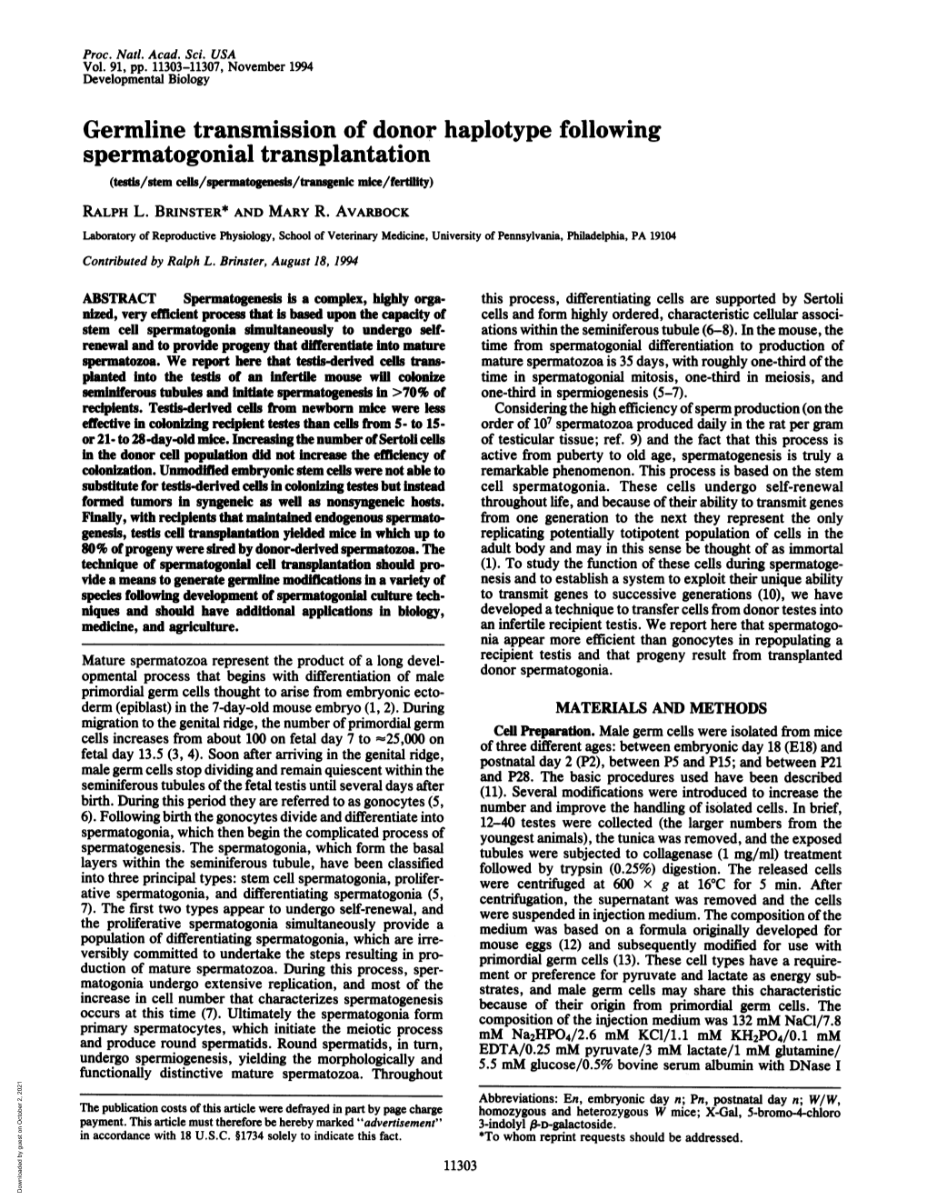 Spermatogonial Transplantation (Testis/Tem Cels/Spermaoneis/Transec Mice/Fertty) RALPH L