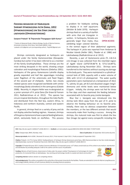 Feeding Behavior of Harlequin Shrimp Hymenocera Picta Dana, 1852 (Hymenoceridae) on Sea Star Linckia Laevigata (Ophidiasteridae)