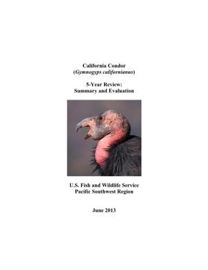 California Condor (Gymnogyps Californianus) 5-Year Review