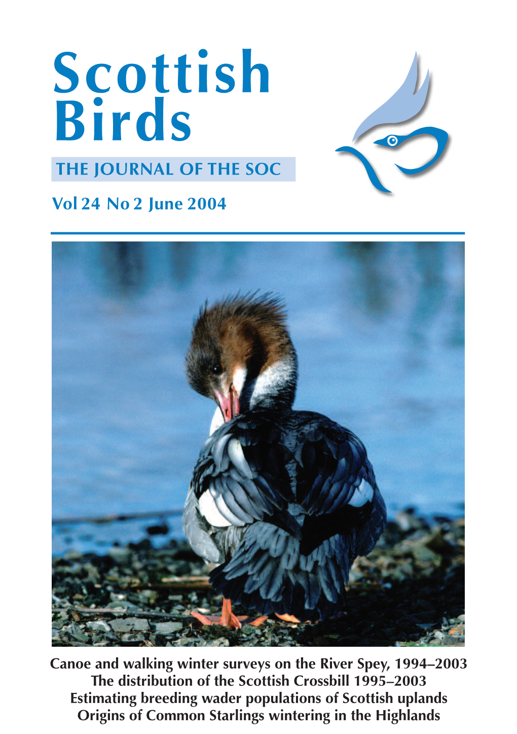 Scottish Birds 24