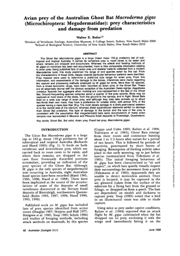 Avian Prey of the Australian Ghost Bat Macroderma Gigas (Microchiroptera: Megadermatidae): Prey Characteristics and Damage from Predation