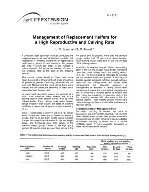 Management of Replacement Heifers for a High Reproductive and Calving Rate