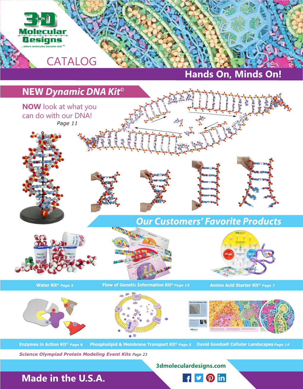 CATALOG Hands On, Minds On! NEW Dynamic DNA Kit©