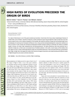 High Rates of Evolution Preceded the Origin of Birds