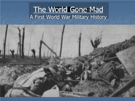The World Gone Mad a First World War Military History Flamethrowers