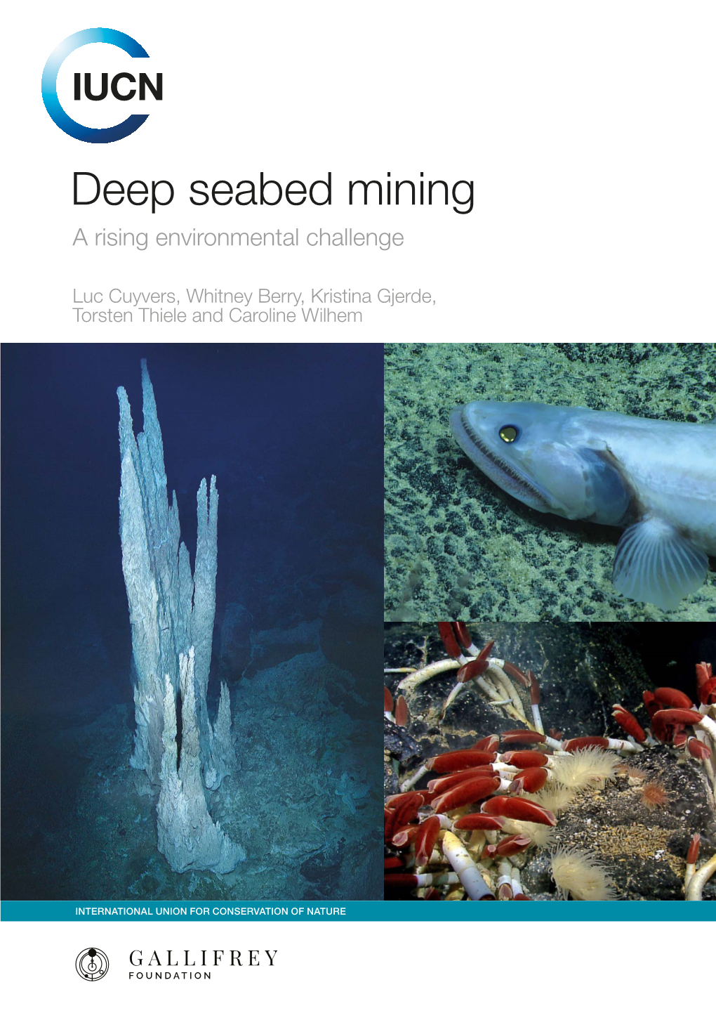 Deep Seabed Mining a Rising Environmental Challenge