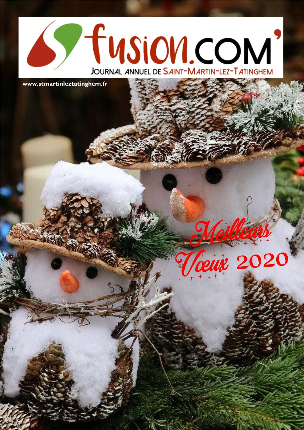 JOURNAL-ANNUEL-2019.Pdf