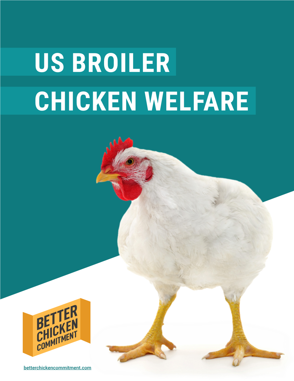 Us Broiler Chicken Welfare