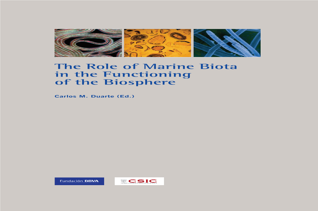 The Role of Marine Biota