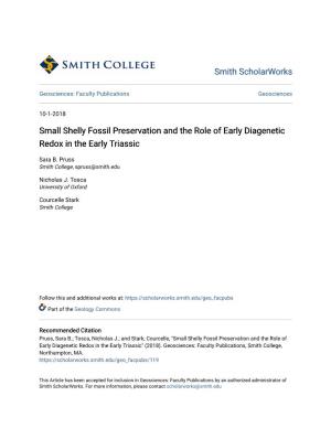 Small Shelly Fossil Preservation and the Role of Early Diagenetic Redox in the Early Triassic