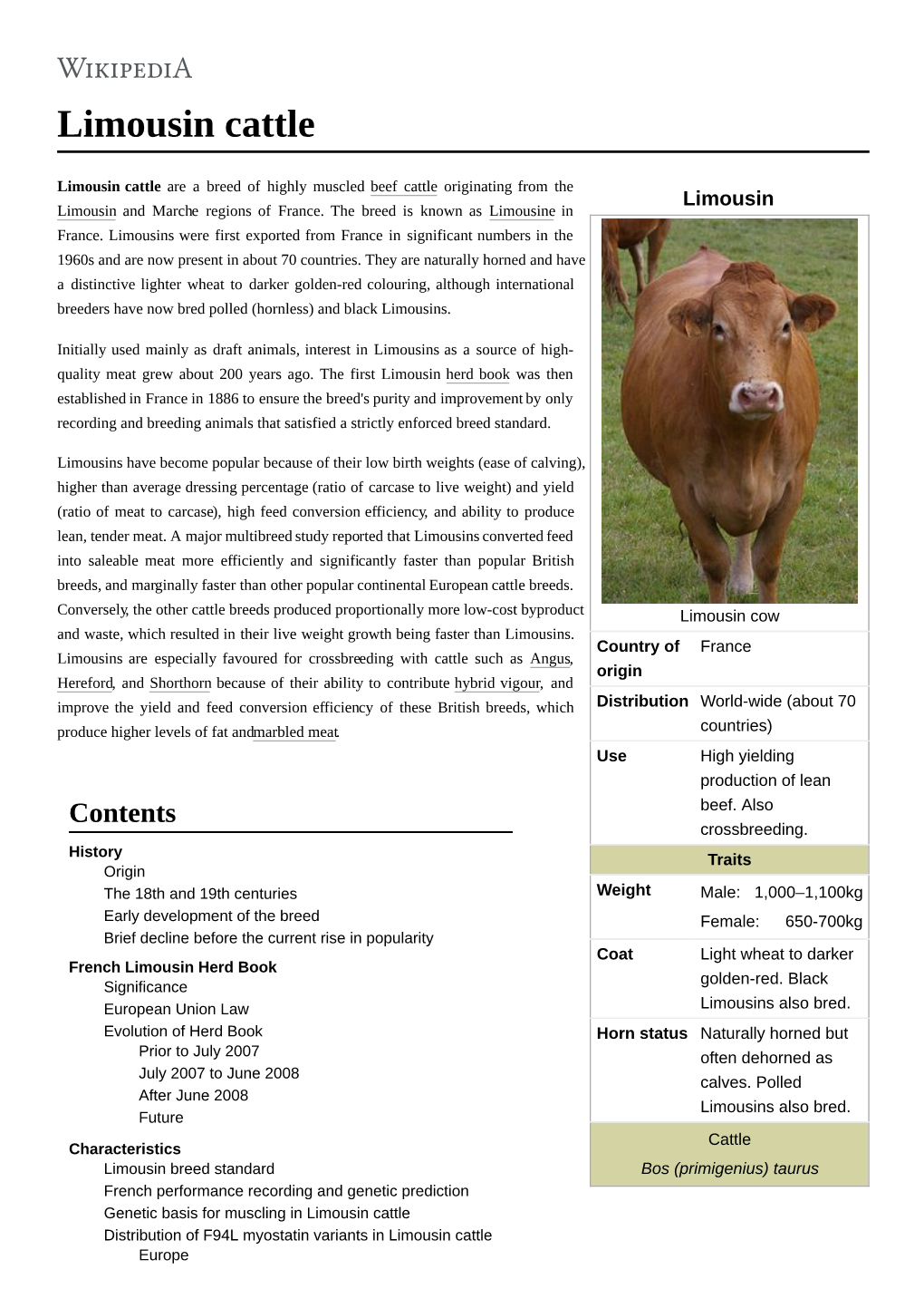 Limousin Cattle