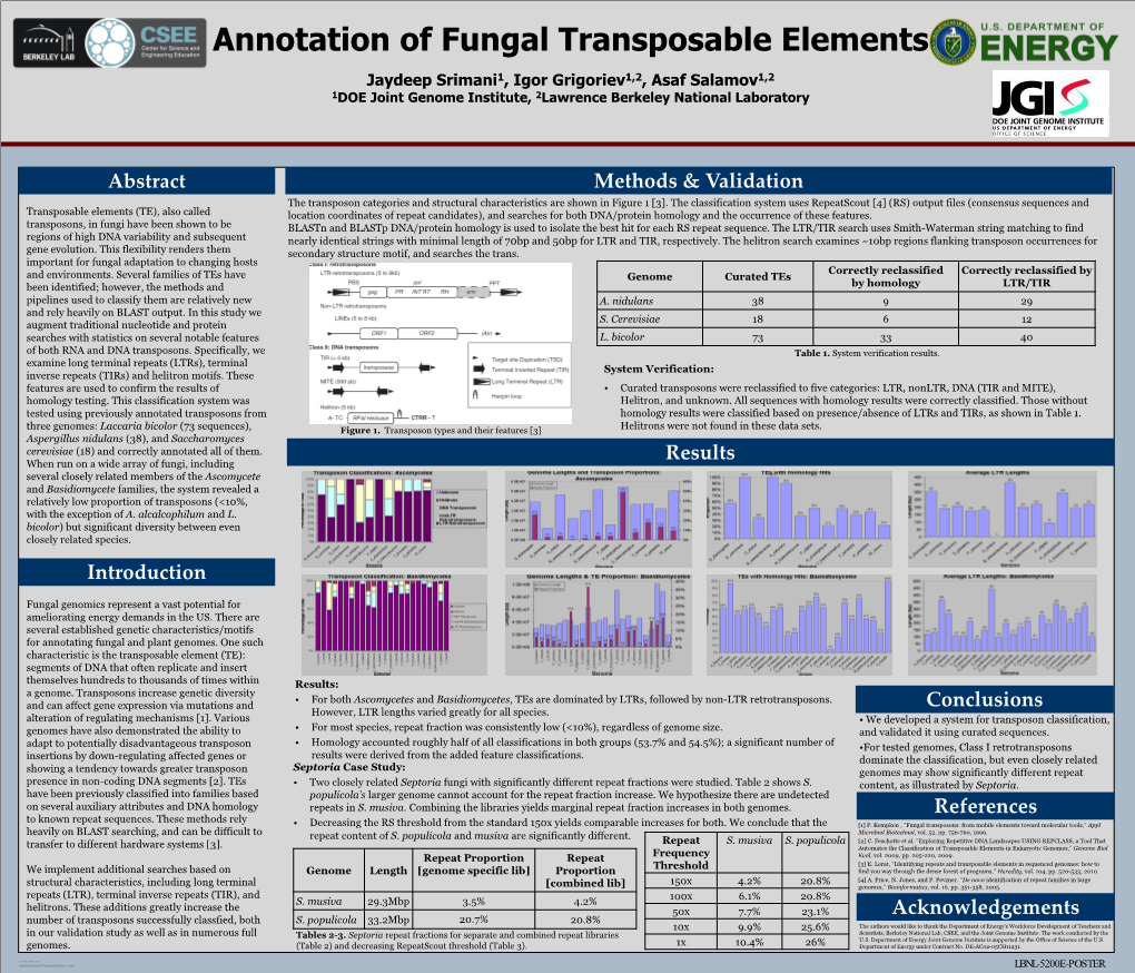 48X36 Poster Template