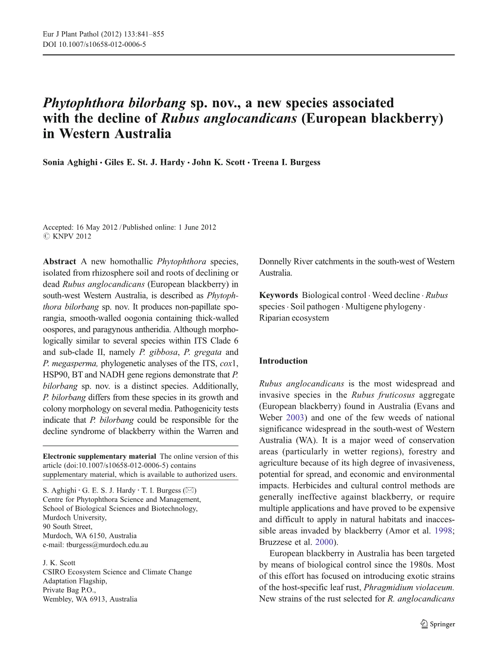 Phytophthora Bilorbang Sp. Nov., a New Species Associated with the Decline of Rubus Anglocandicans (European Blackberry) in Western Australia