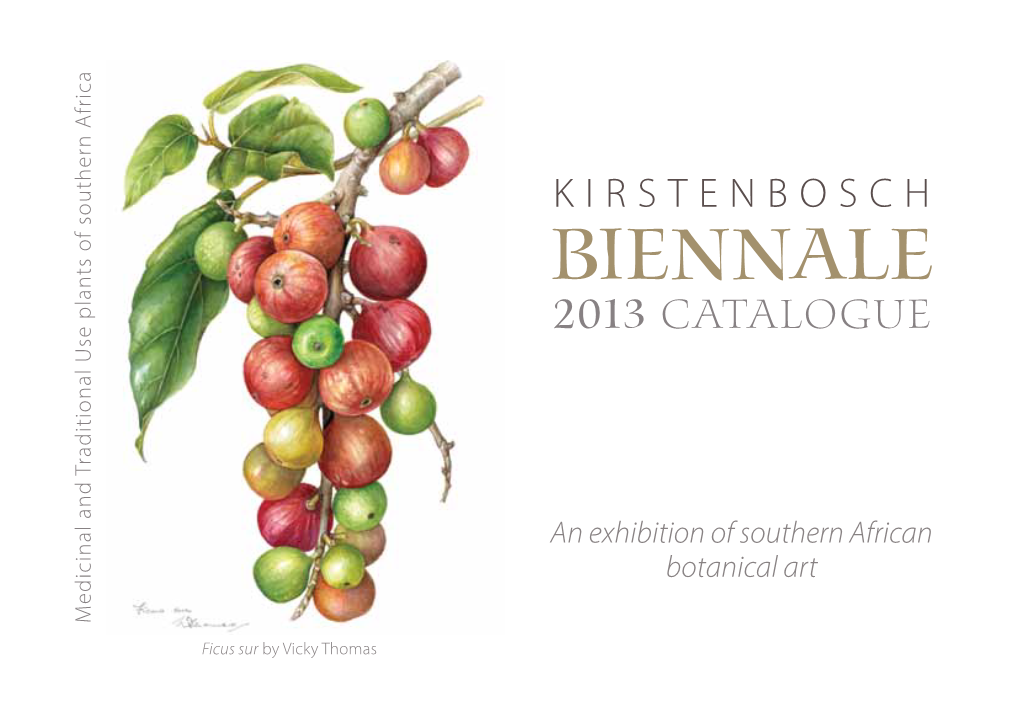 KIRSTENBOSCH Biennale 2013 Catalogue