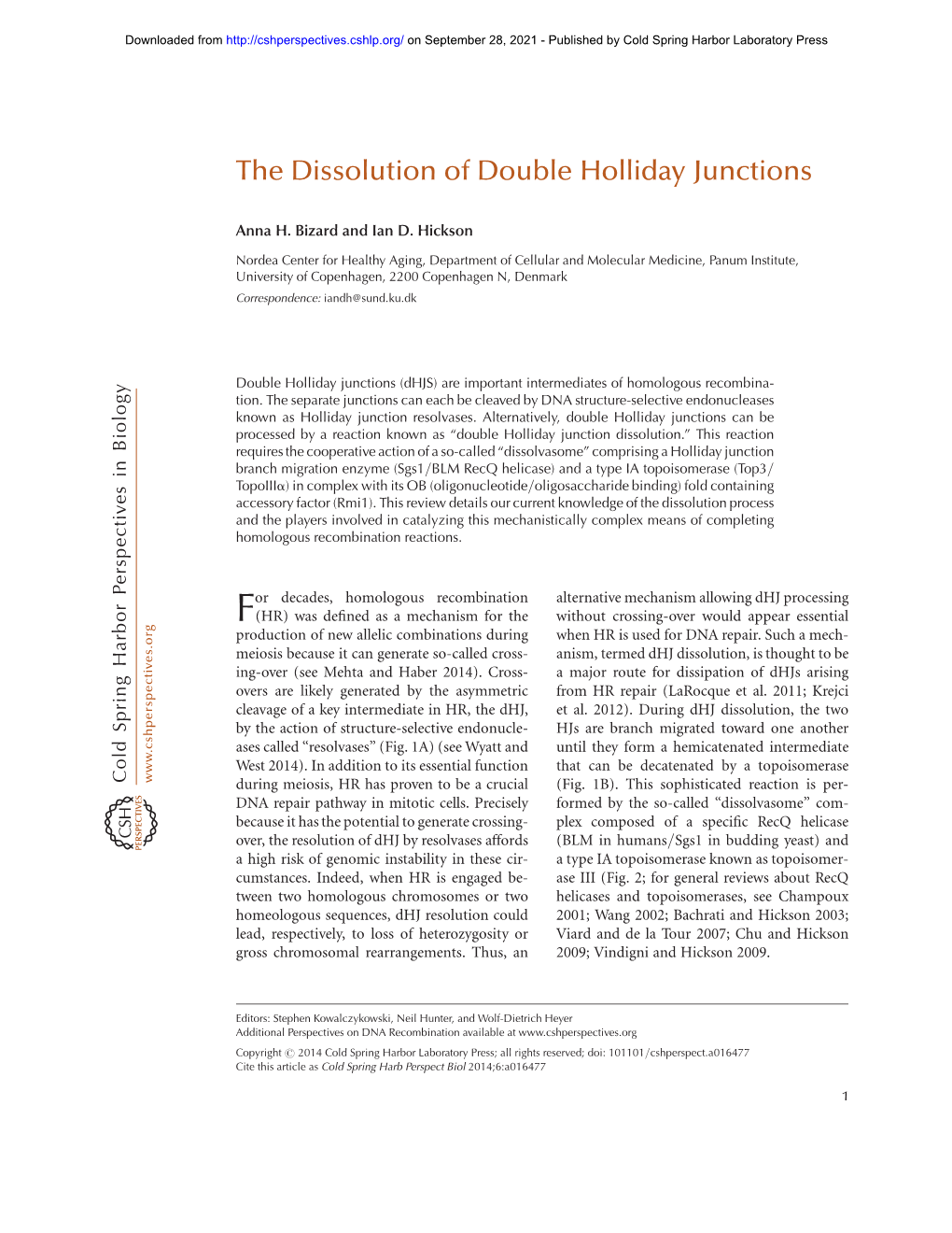 The Dissolution of Double Holliday Junctions
