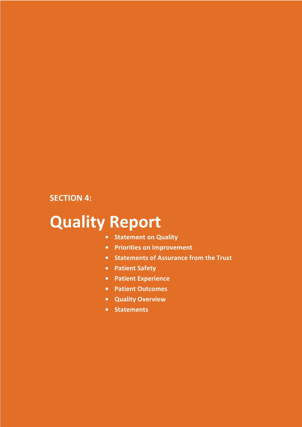 Quality Report