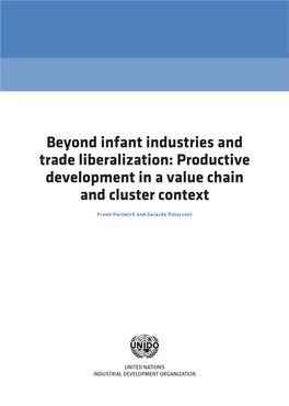 Beyond Infant Industries and Trade Liberalization: Productive Development in a Value Chain and Cluster Context