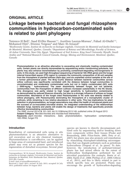 Linkage Between Bacterial and Fungal Rhizosphere Communities in Hydrocarbon-Contaminated Soils Is Related to Plant Phylogeny