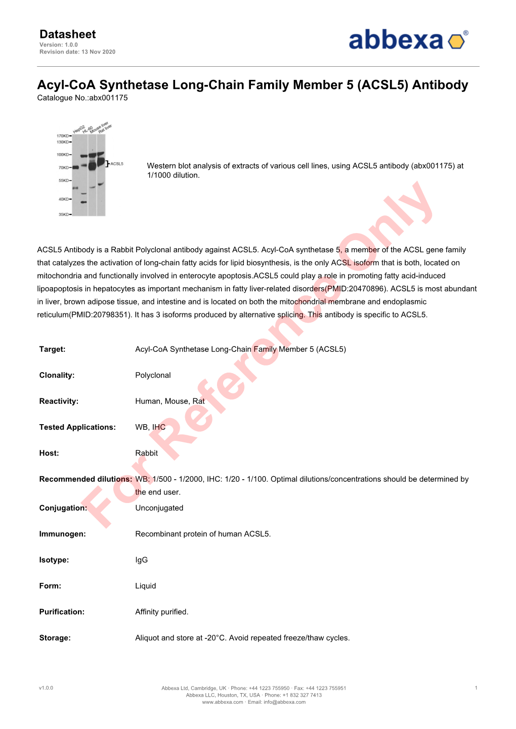 ACSL5) Antibody Catalogue No.:Abx001175