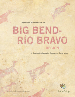 Conservation Assessment for the Big Bend-Rio Bravo Region