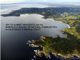 SEA to SUMMIT GRADIENTS and the MARVELOUS MOSAIC of NATURAL COMMUNITIES on CALIFORNIA’S CENTRAL COAST BIODIVERSITY RESULTS FROM