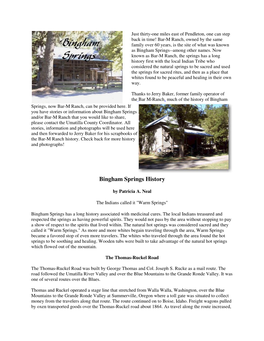 Bingham Springs History