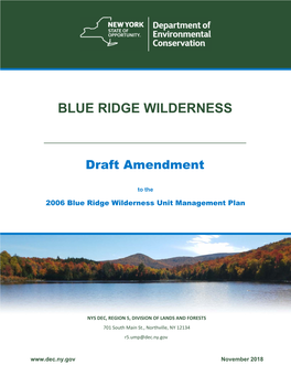 2018 Draft Amendment to the Blue Ridge Wilderness