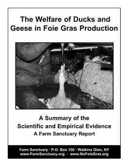 The Welfare of Ducks and Geese in Foie Gras Production