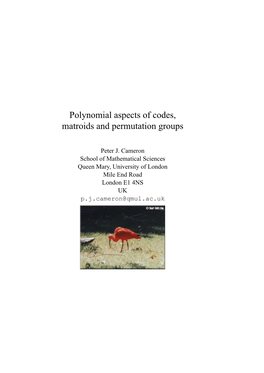 Polynomial Aspects of Codes, Matroids and Permutation Groups