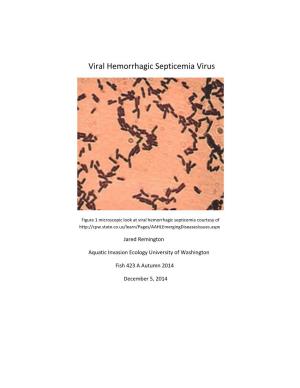 Viral Hemorrhagic Septicemia Virus