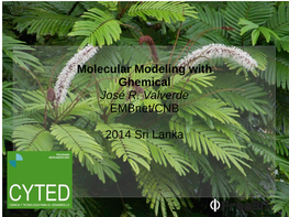 Molecular Modeling with Ghemical José R. Valverde Embnet/CNB