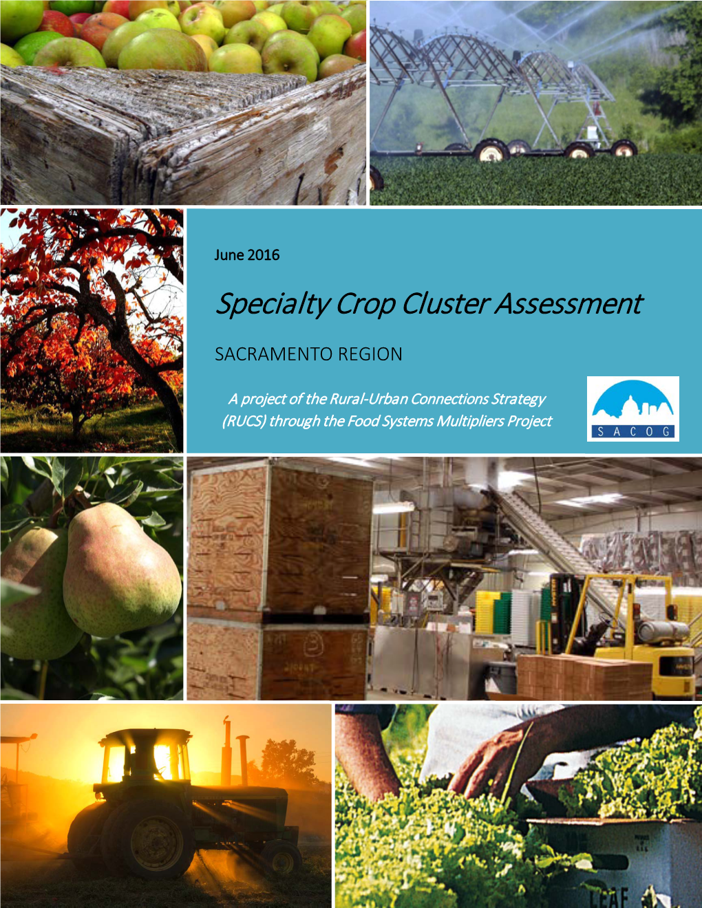 SPECIALTY CROP CLUSTER REPORT: SACRAMENTO REGION Iii ABOUT THIS PROJECT