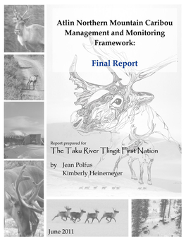 Atlin Northern Mountain Caribou Management and Monitoring Framework: Final Report 2011