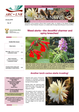 SAPIA NEWS No. 47 Page 2